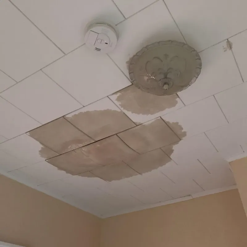 Ceiling Water Damage Repair in Rapid City, SD