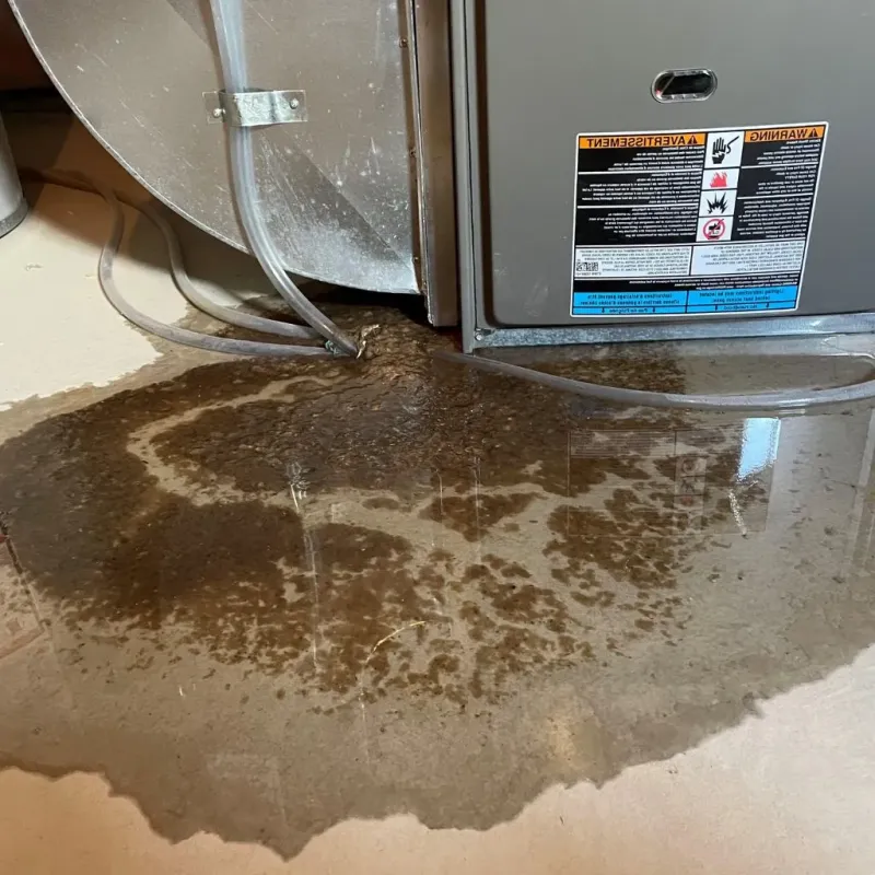 Pipe Burst and Leak Restoration in Rapid City, SD